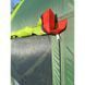 Палатка 3-местная Mimir 1011-3 MM1011-3 фото 6